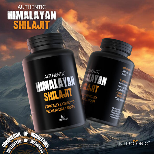 SHILAJIT ORIGINAL HIMALAYA